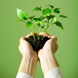 Hospitality scholarships and endowments